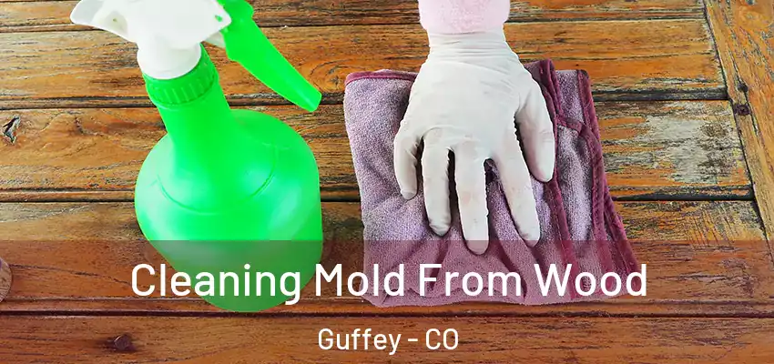  Cleaning Mold From Wood Guffey - CO