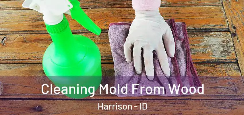 Cleaning Mold From Wood Harrison - ID
