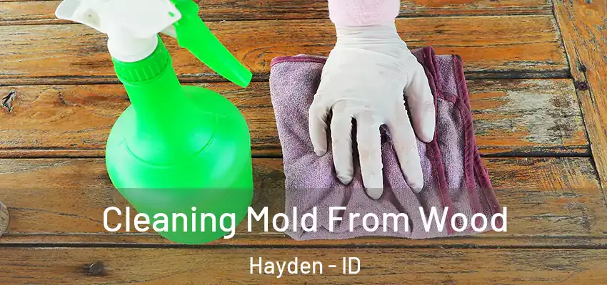 Cleaning Mold From Wood Hayden - ID