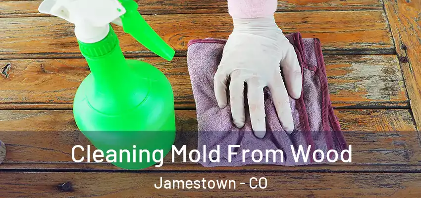  Cleaning Mold From Wood Jamestown - CO