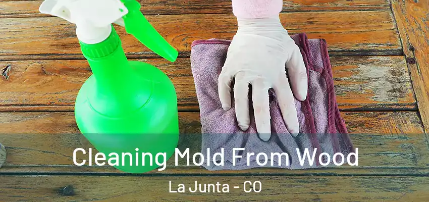 Cleaning Mold From Wood La Junta - CO