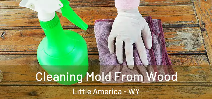  Cleaning Mold From Wood Little America - WY