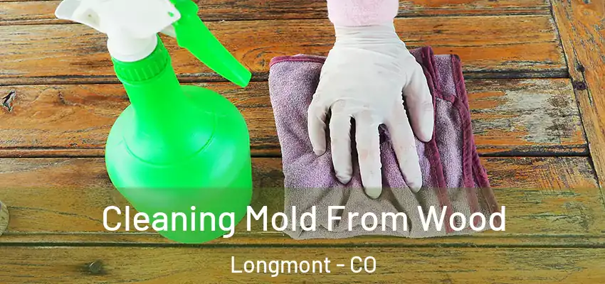  Cleaning Mold From Wood Longmont - CO