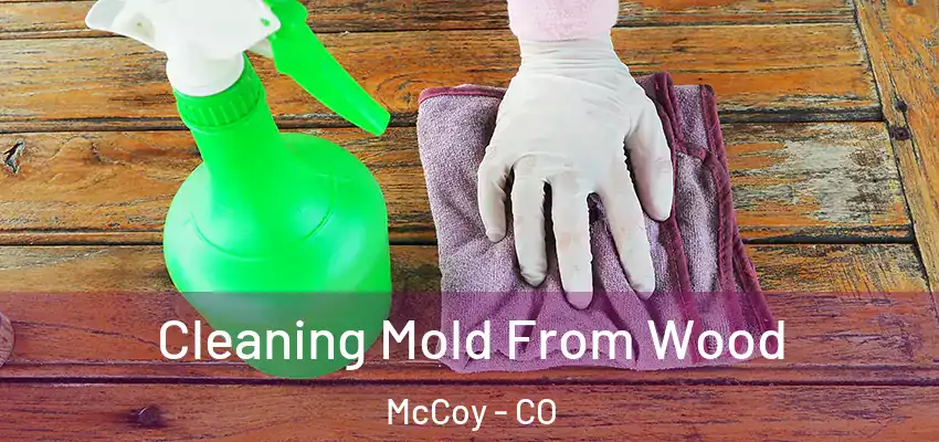 Cleaning Mold From Wood McCoy - CO