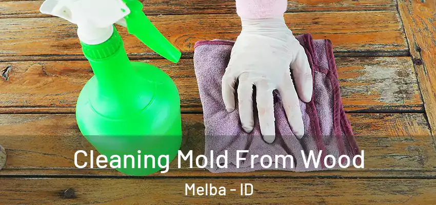 Cleaning Mold From Wood Melba - ID