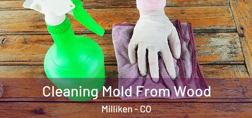 Cleaning Mold From Wood Milliken - CO