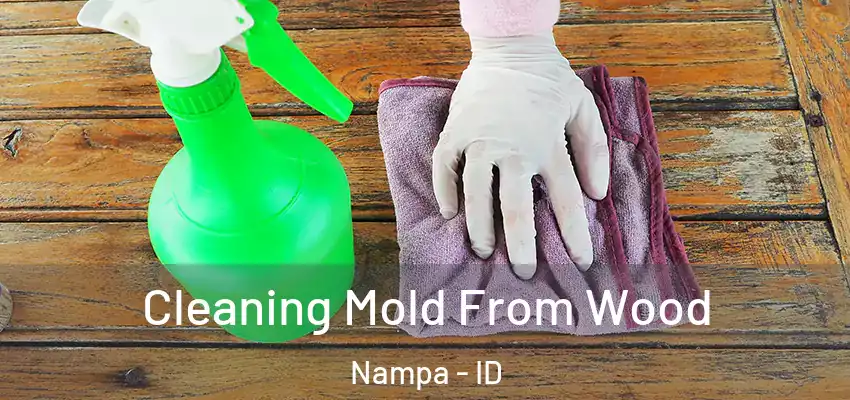  Cleaning Mold From Wood Nampa - ID