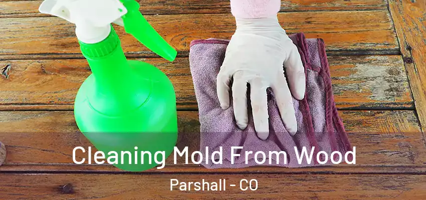  Cleaning Mold From Wood Parshall - CO