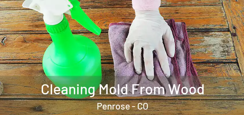  Cleaning Mold From Wood Penrose - CO