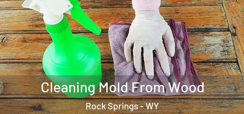  Cleaning Mold From Wood Rock Springs - WY