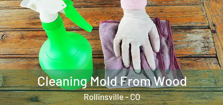  Cleaning Mold From Wood Rollinsville - CO