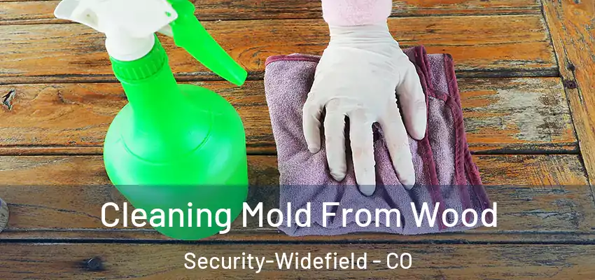 Cleaning Mold From Wood Security-Widefield - CO