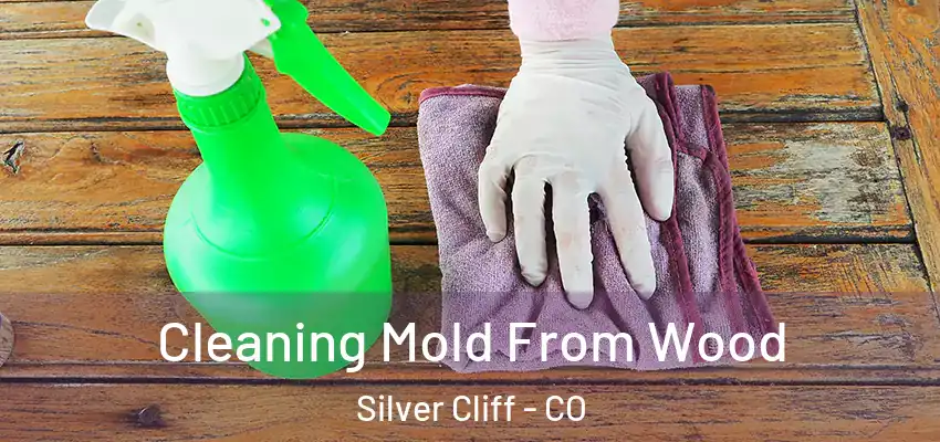 Cleaning Mold From Wood Silver Cliff - CO