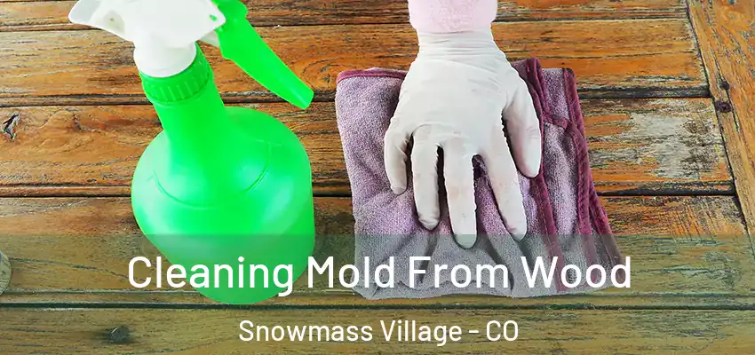  Cleaning Mold From Wood Snowmass Village - CO