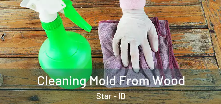  Cleaning Mold From Wood Star - ID