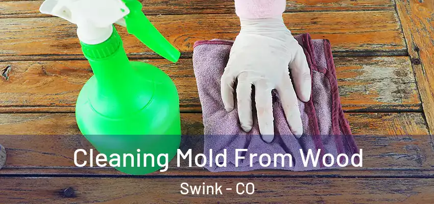  Cleaning Mold From Wood Swink - CO