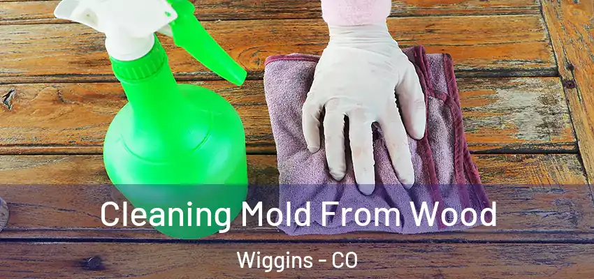  Cleaning Mold From Wood Wiggins - CO