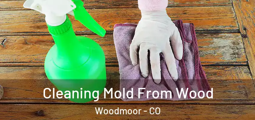  Cleaning Mold From Wood Woodmoor - CO