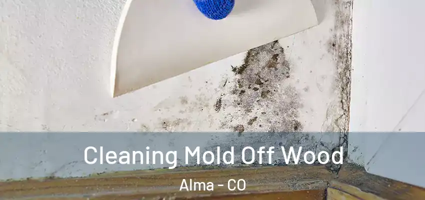  Cleaning Mold Off Wood Alma - CO