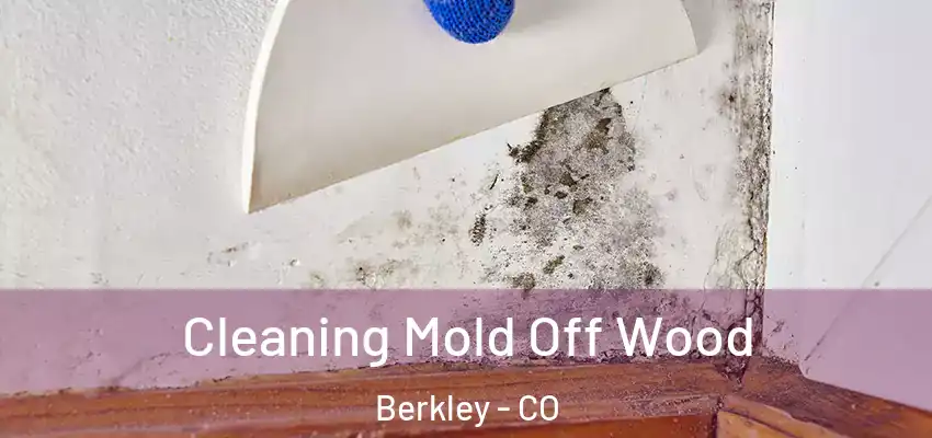 Cleaning Mold Off Wood Berkley - CO