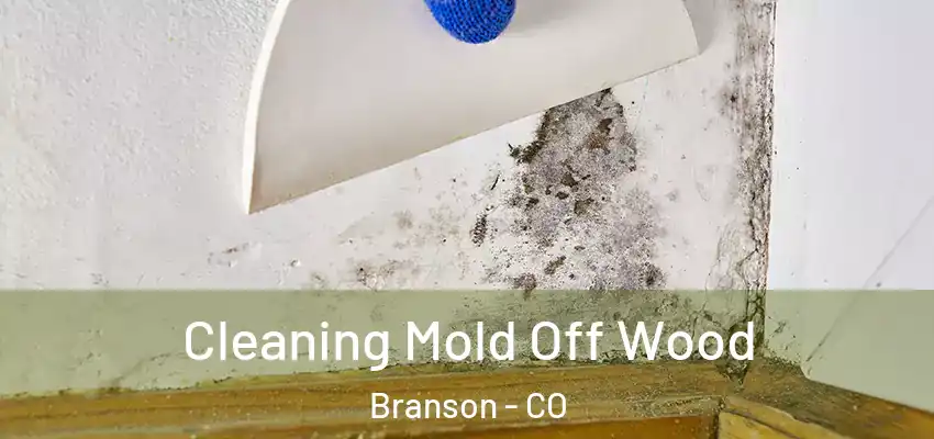  Cleaning Mold Off Wood Branson - CO