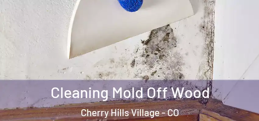 Cleaning Mold Off Wood Cherry Hills Village - CO