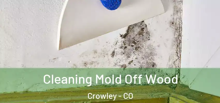 Cleaning Mold Off Wood Crowley - CO