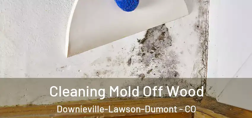  Cleaning Mold Off Wood Downieville-Lawson-Dumont - CO