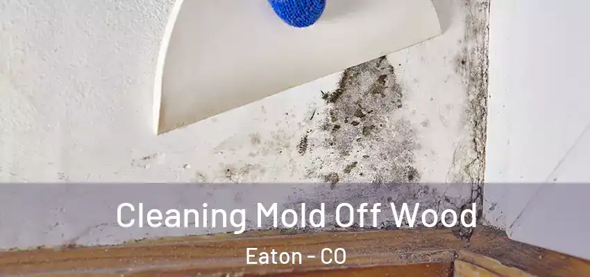  Cleaning Mold Off Wood Eaton - CO