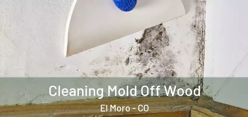  Cleaning Mold Off Wood El Moro - CO