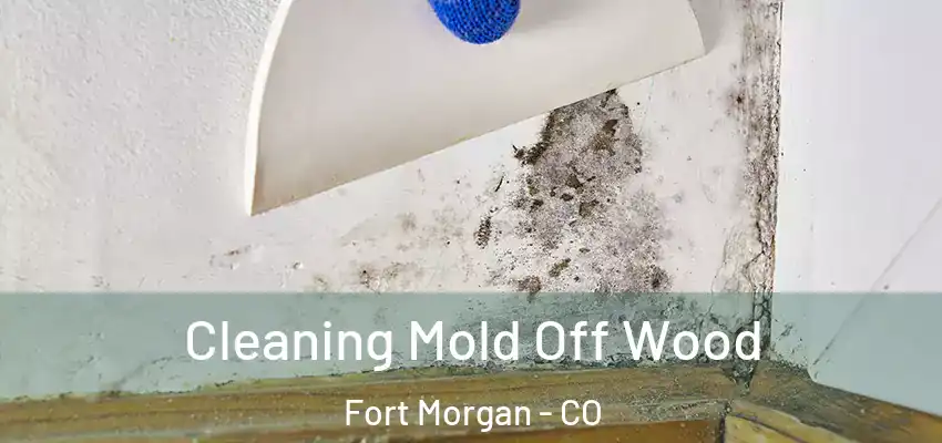  Cleaning Mold Off Wood Fort Morgan - CO