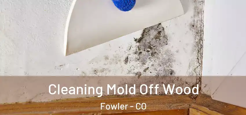  Cleaning Mold Off Wood Fowler - CO