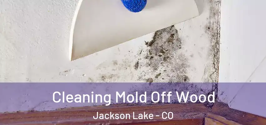  Cleaning Mold Off Wood Jackson Lake - CO