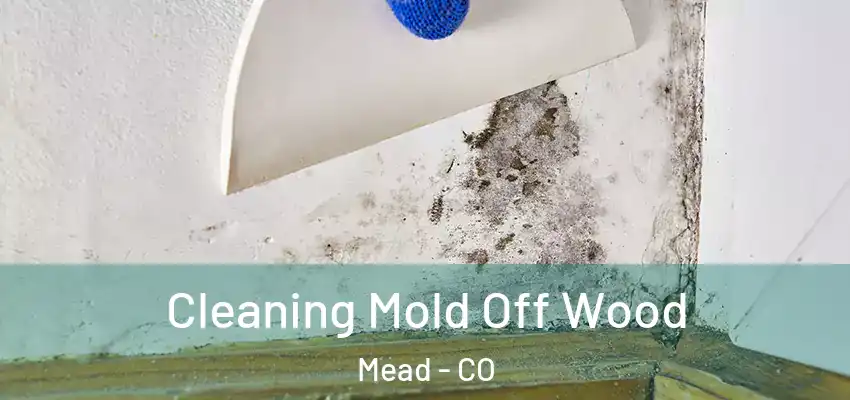  Cleaning Mold Off Wood Mead - CO