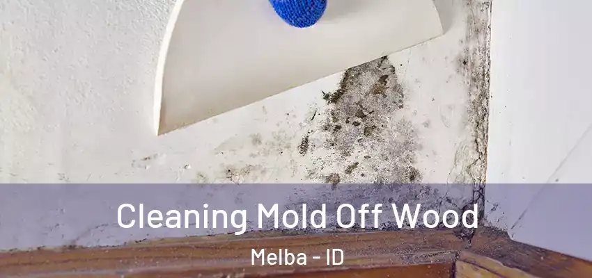  Cleaning Mold Off Wood Melba - ID