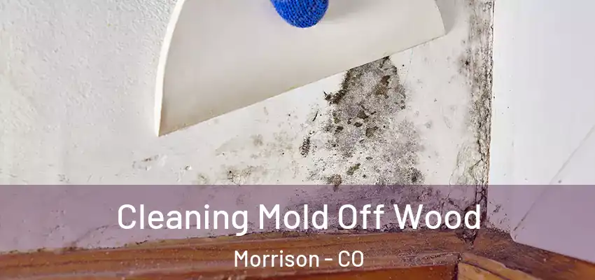  Cleaning Mold Off Wood Morrison - CO