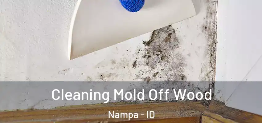  Cleaning Mold Off Wood Nampa - ID