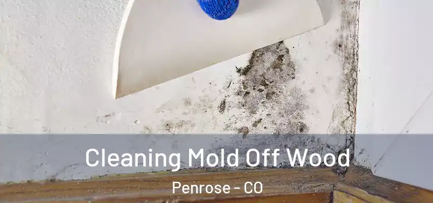  Cleaning Mold Off Wood Penrose - CO