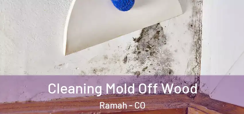  Cleaning Mold Off Wood Ramah - CO