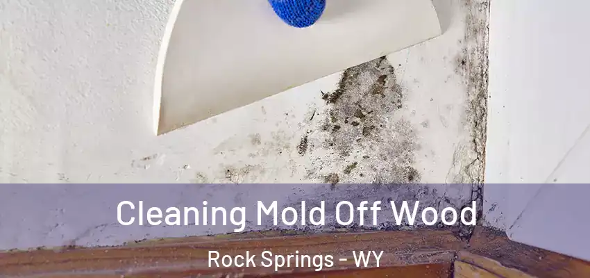  Cleaning Mold Off Wood Rock Springs - WY