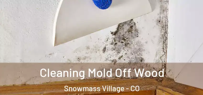  Cleaning Mold Off Wood Snowmass Village - CO