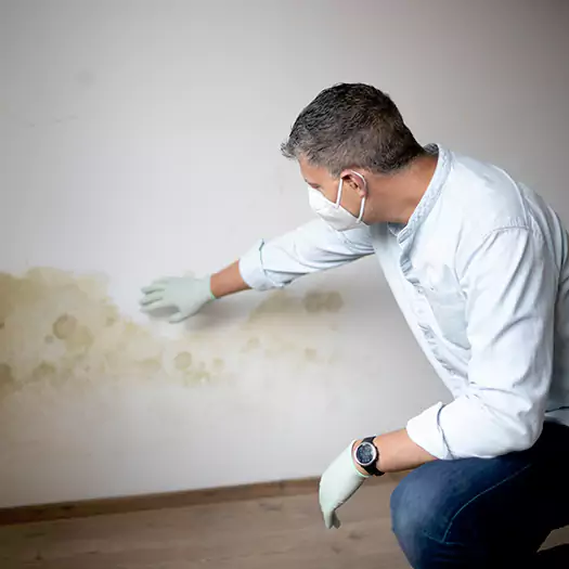 Trusted Mold Remediation and Removal Experts in Boise, ID