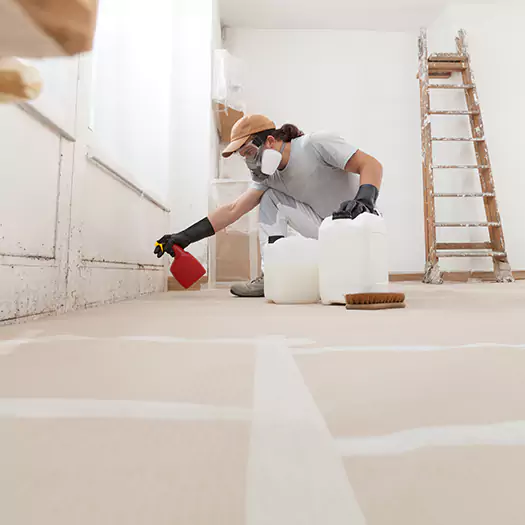 Reliable Mold Stain Remover Specialists in Boise, ID