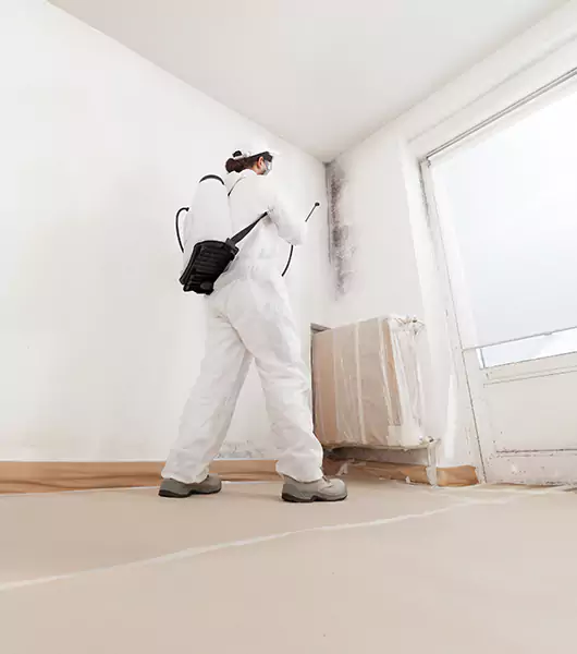 Specialists in All Areas of Mold Remediation and Water Damage Restoration in Boise, ID