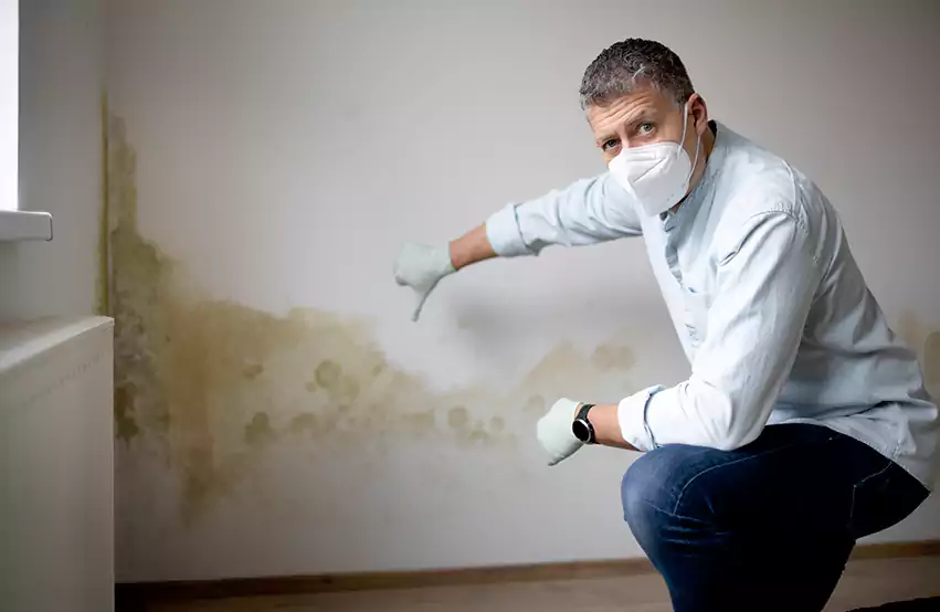 Mold Removal in Boise, ID