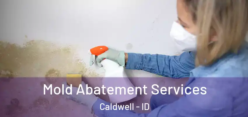  Mold Abatement Services Caldwell - ID