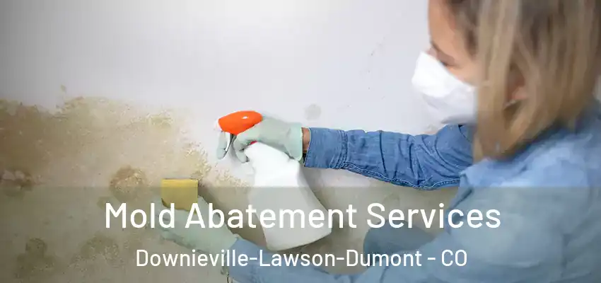  Mold Abatement Services Downieville-Lawson-Dumont - CO