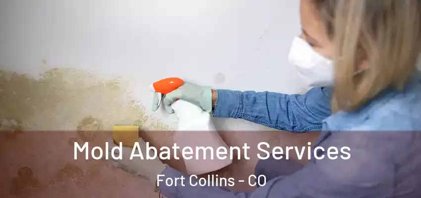  Mold Abatement Services Fort Collins - CO