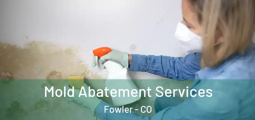  Mold Abatement Services Fowler - CO