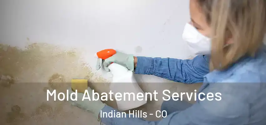  Mold Abatement Services Indian Hills - CO